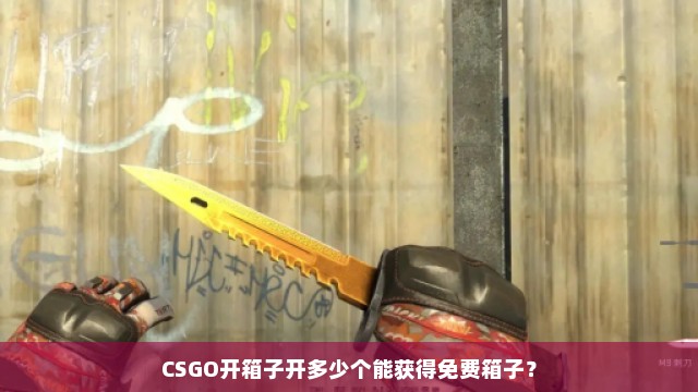 CSGO开箱子开多少个能获得免费箱子？