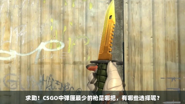 求助！CSGO中弹匣最少的枪是哪把，有哪些选择呢？