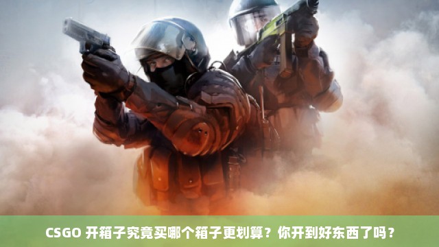 CSGO 开箱子究竟买哪个箱子更划算？你开到好东西了吗？