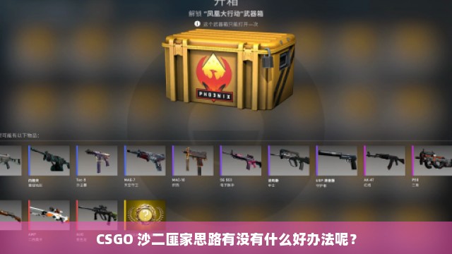 CSGO 沙二匪家思路有没有什么好办法呢？