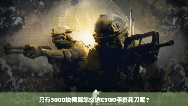 只有3000块预算怎么选CSGO手套和刀呢？