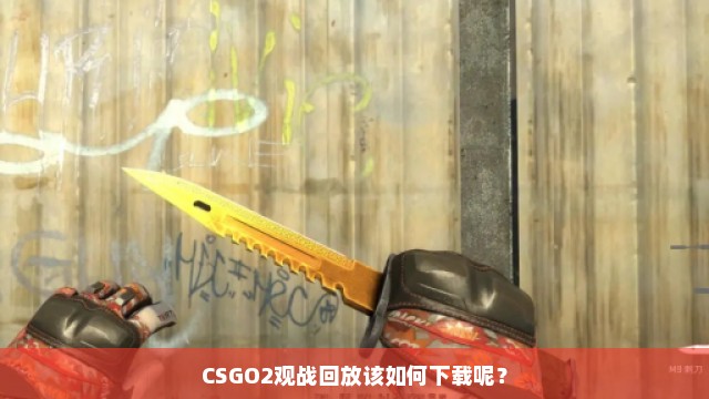 CSGO2观战回放该如何下载呢？