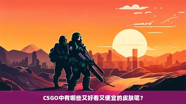 CSGO中有哪些又好看又便宜的皮肤呢？