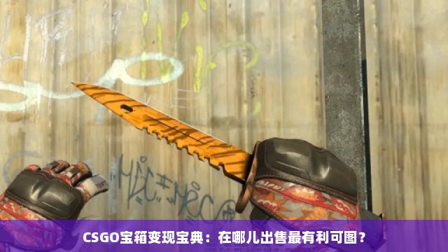 CSGO宝箱变现宝典：在哪儿出售最有利可图？