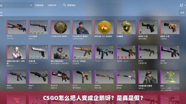 CSGO怎么把人变成企鹅呀？是真是假？