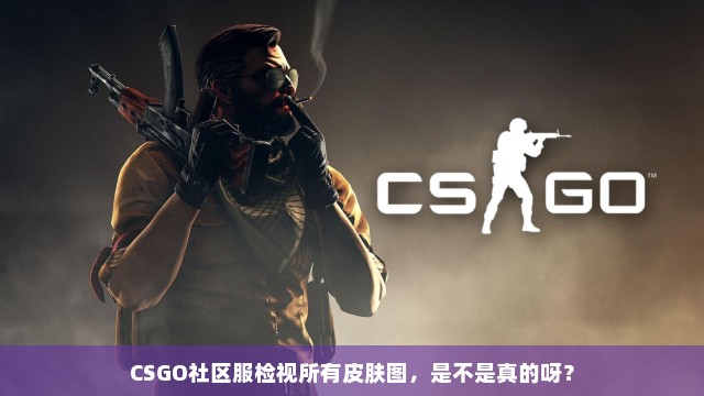 CSGO社区服检视所有皮肤图，是不是真的呀？