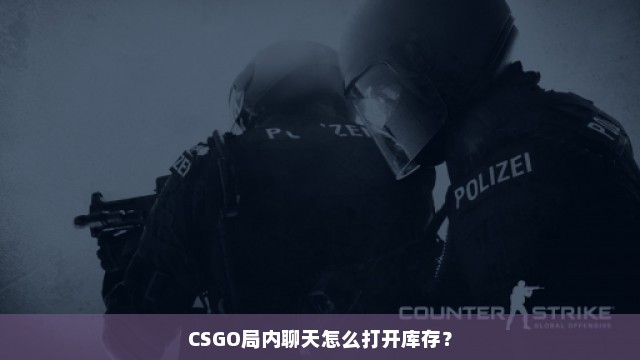 CSGO局内聊天怎么打开库存？