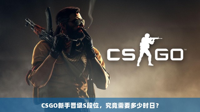 CSGO新手晋级S段位，究竟需要多少时日？