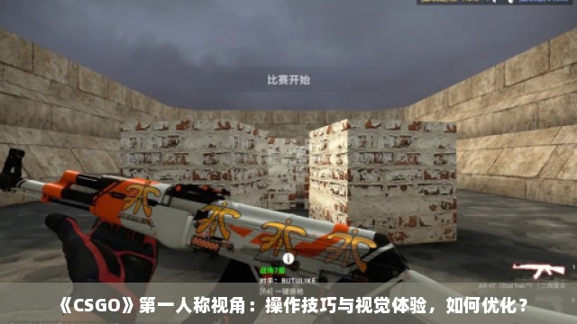 《CSGO》第一人称视角：操作技巧与视觉体验，如何优化？