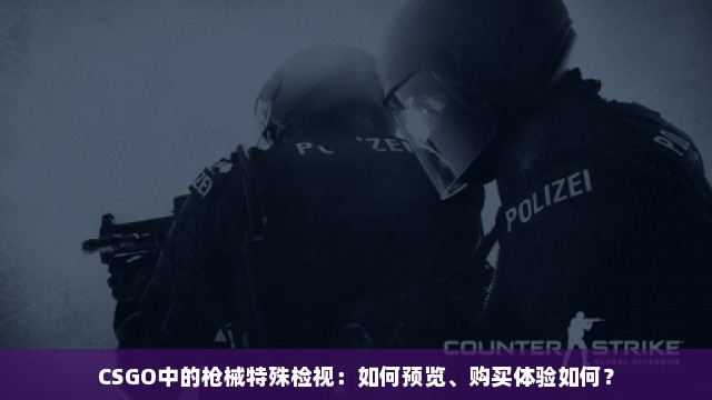 CSGO中的枪械特殊检视：如何预览、购买体验如何？