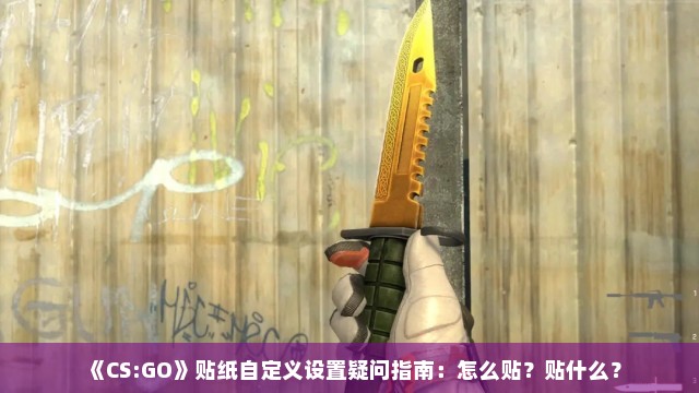 《CS:GO》贴纸自定义设置疑问指南：怎么贴？贴什么？