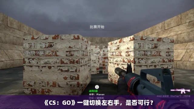 《CS：GO》一键切换左右手，是否可行？