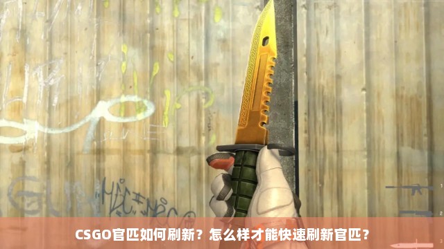 CSGO官匹如何刷新？怎么样才能快速刷新官匹？