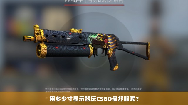 用多少寸显示器玩CSGO最舒服呢？