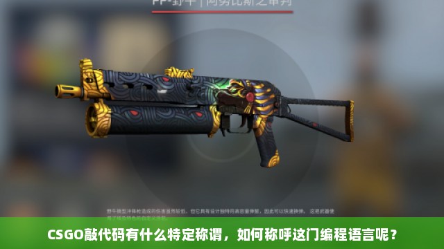 CSGO敲代码有什么特定称谓，如何称呼这门编程语言呢？