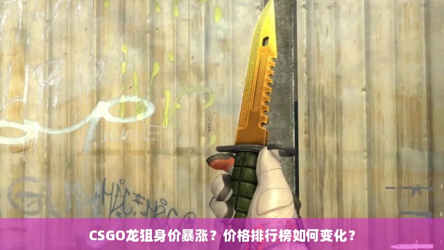 CSGO龙狙身价暴涨？价格排行榜如何变化？