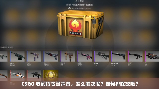 CSGO 收到指令没声音，怎么解决呢？如何排除故障？