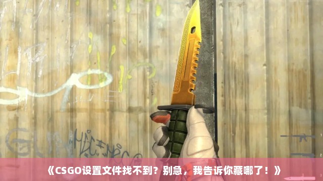 《CSGO设置文件找不到？别急，我告诉你藏哪了！》