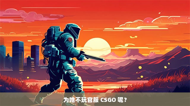 为啥不玩官服 CSGO 呢？