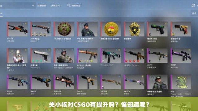 关小核对CSGO有提升吗？谁知道呢？