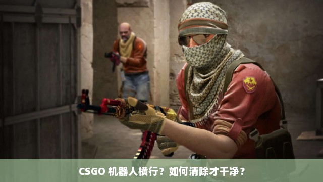 CSGO 机器人横行？如何清除才干净？