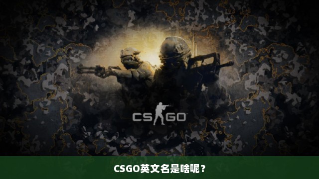 CSGO英文名是啥呢？