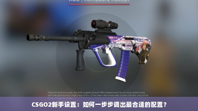 CSGO2新手设置：如何一步步调出最合适的配置？