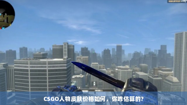 CSGO人物皮肤价格如何，你咋估算的?